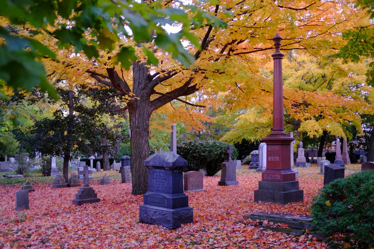 St James Cemetery Toronto in autumn with orange and yellow leaves