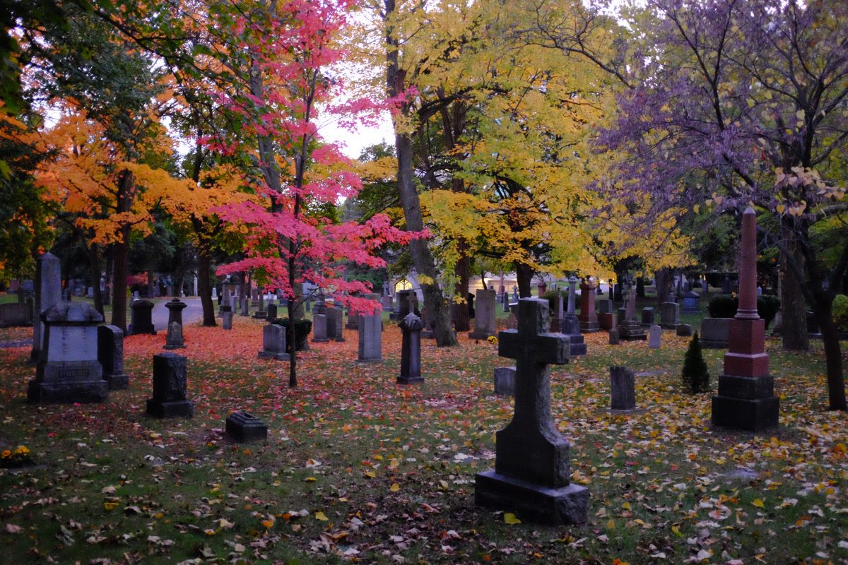 Orange, red, yellow and purple leaves together in St James Cemetery