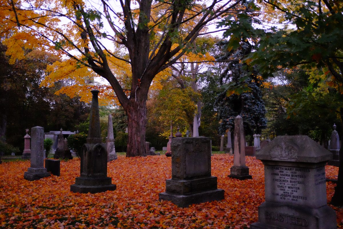 Bright orange leaves on the ground around tombstones in St James Cemetery