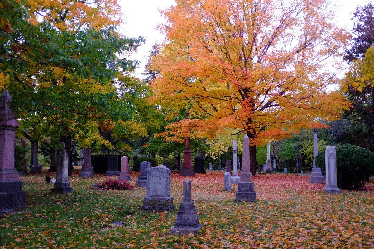 Autumn foliage on display in St James Cemetery Toronto