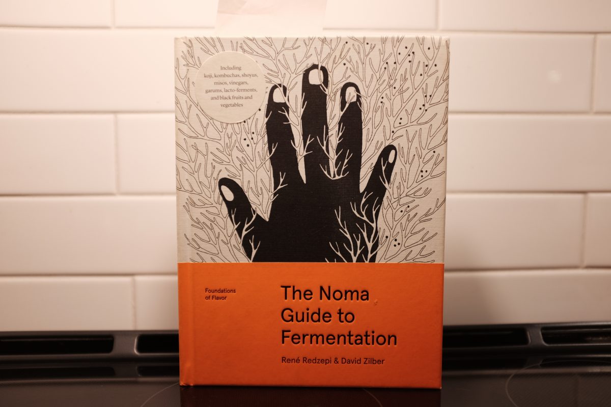 Noma Guide to Fermentation book
