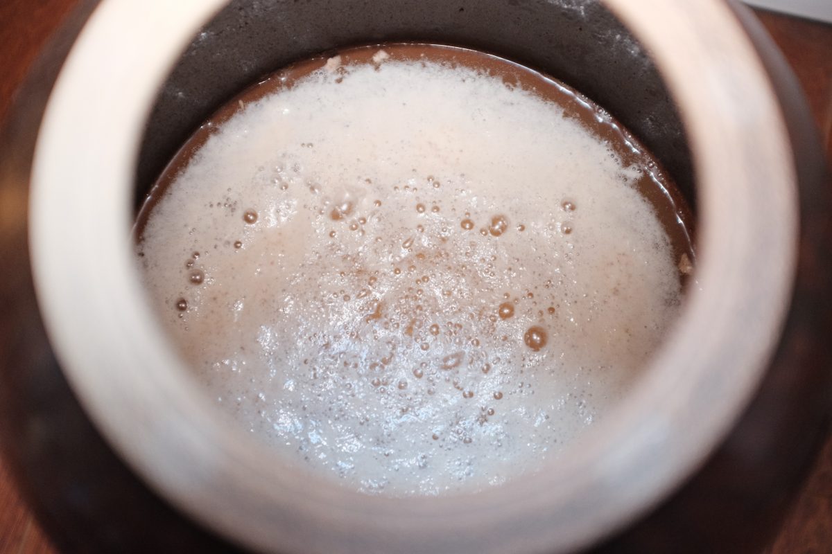 first bubbles show active fermentation