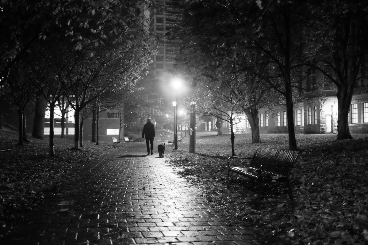 Man walking dog on rainy night in Philosophers Walk toronto