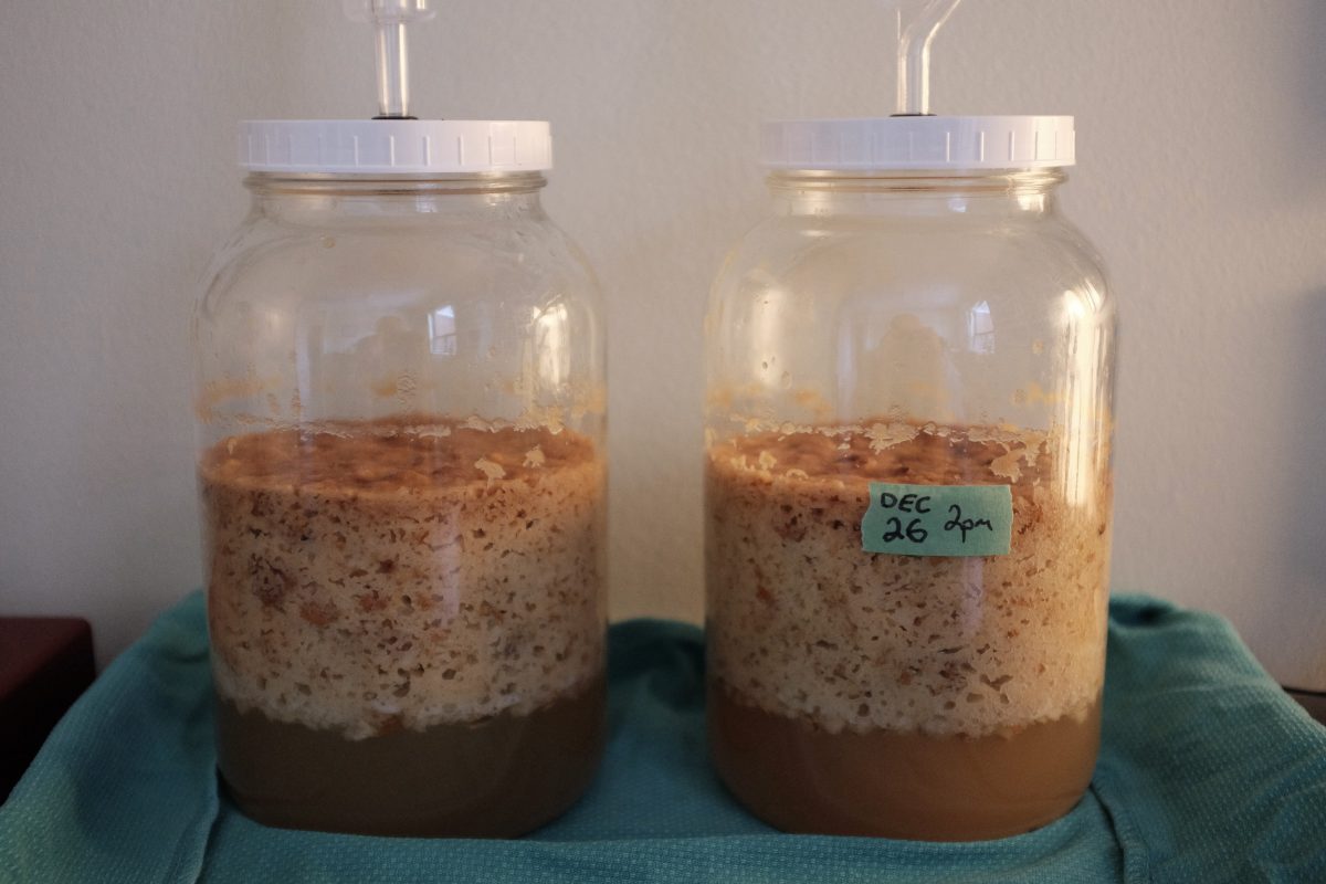 first signs of life for pear vinegar. Foaming and bubbling mash