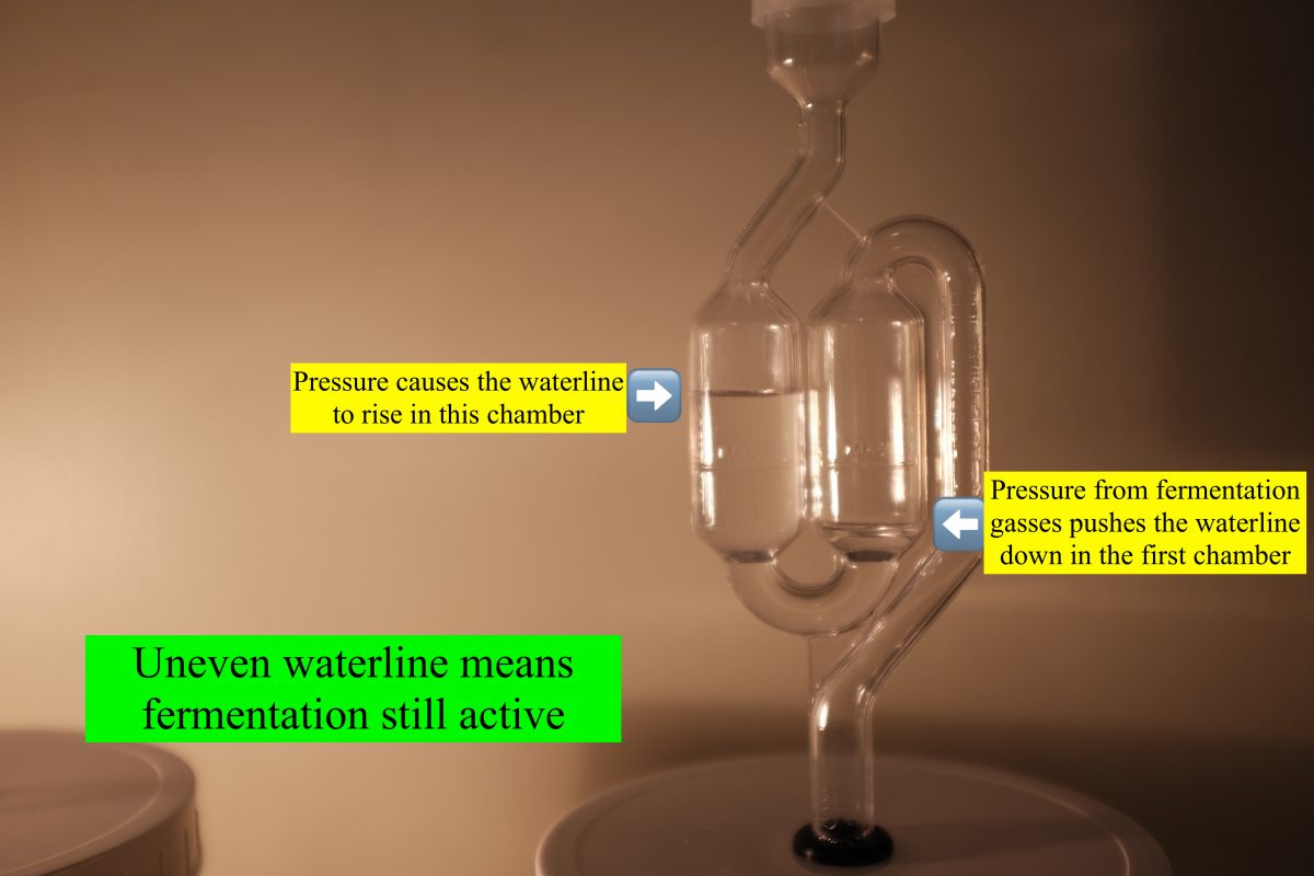 shows how waterline in s airlock shows that fermentation is active 