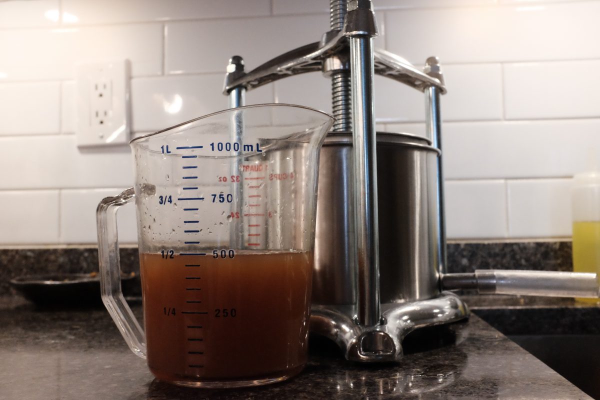 fruit press gave 500ml of juice from the strainer pulp
