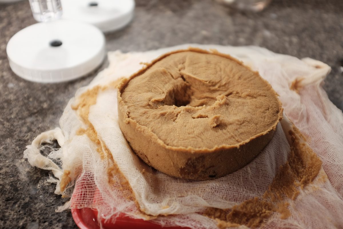 shows a damp cake of spent mash after it comes out of the fruit press