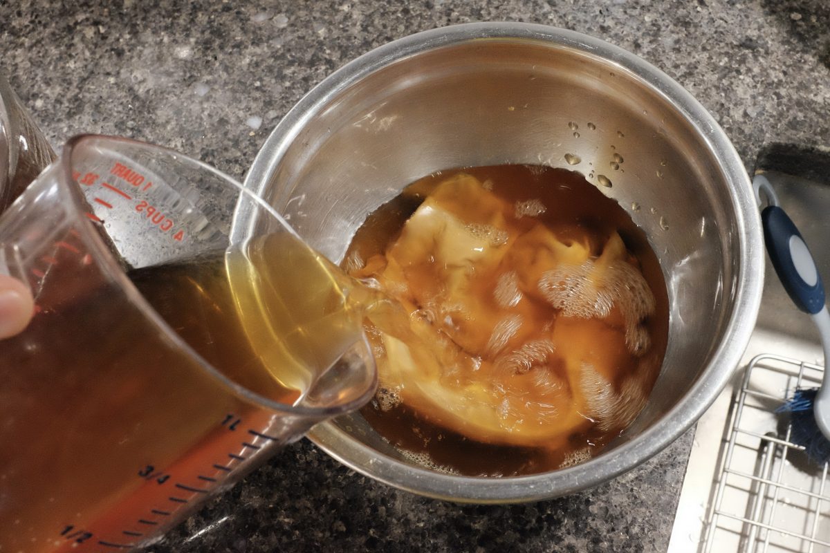 adding brew back to scoby