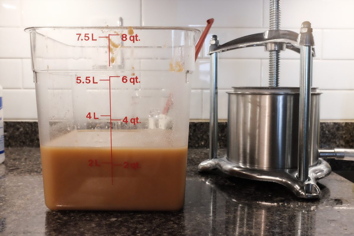 bucket measuring our total of 2.5 litres of pear alcohol to make into pear vinegar