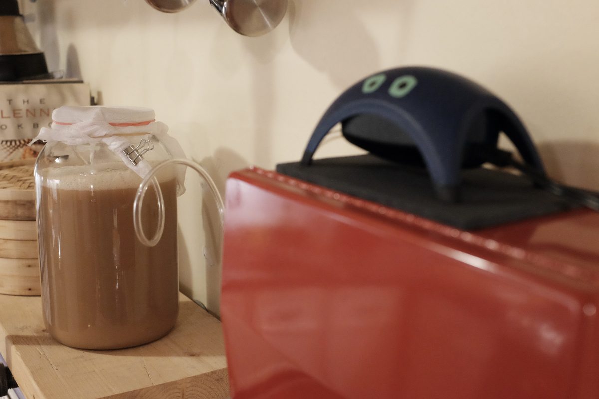 jar on shelf bubbling with air from pump