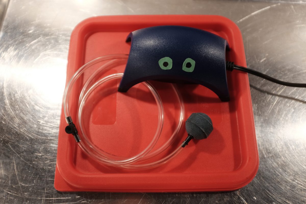 an aquarium air pump and air stone which will be used in the fermentation into pear vinegar