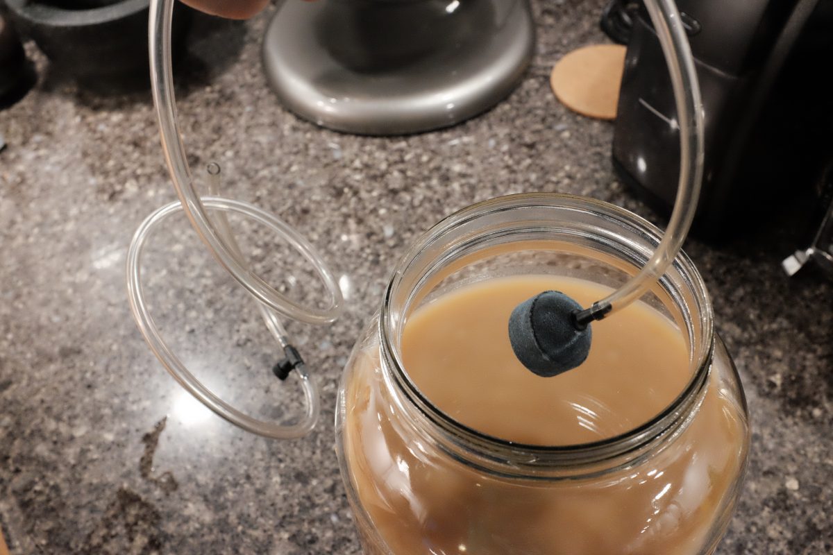 inserting the air stone into the pear juice jar