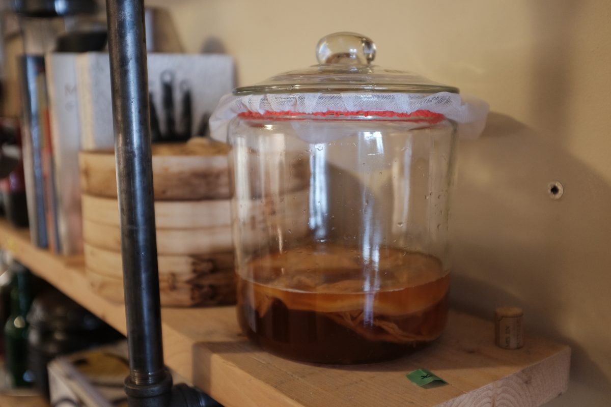 shows scoby in liquid in container on shelf for storage until next brew