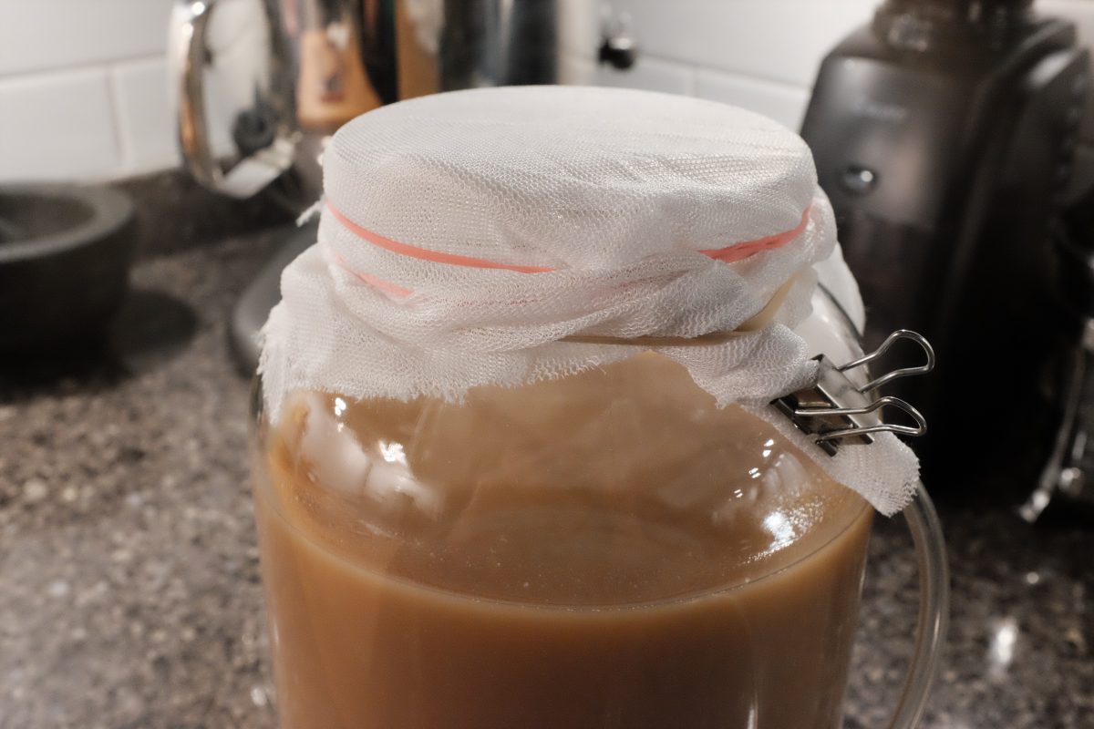 jar sealed with mesh and elastic to keep out the flies