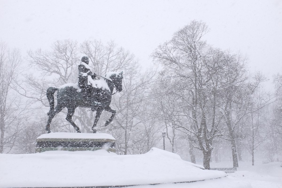 statue of horseback rider in snow storm