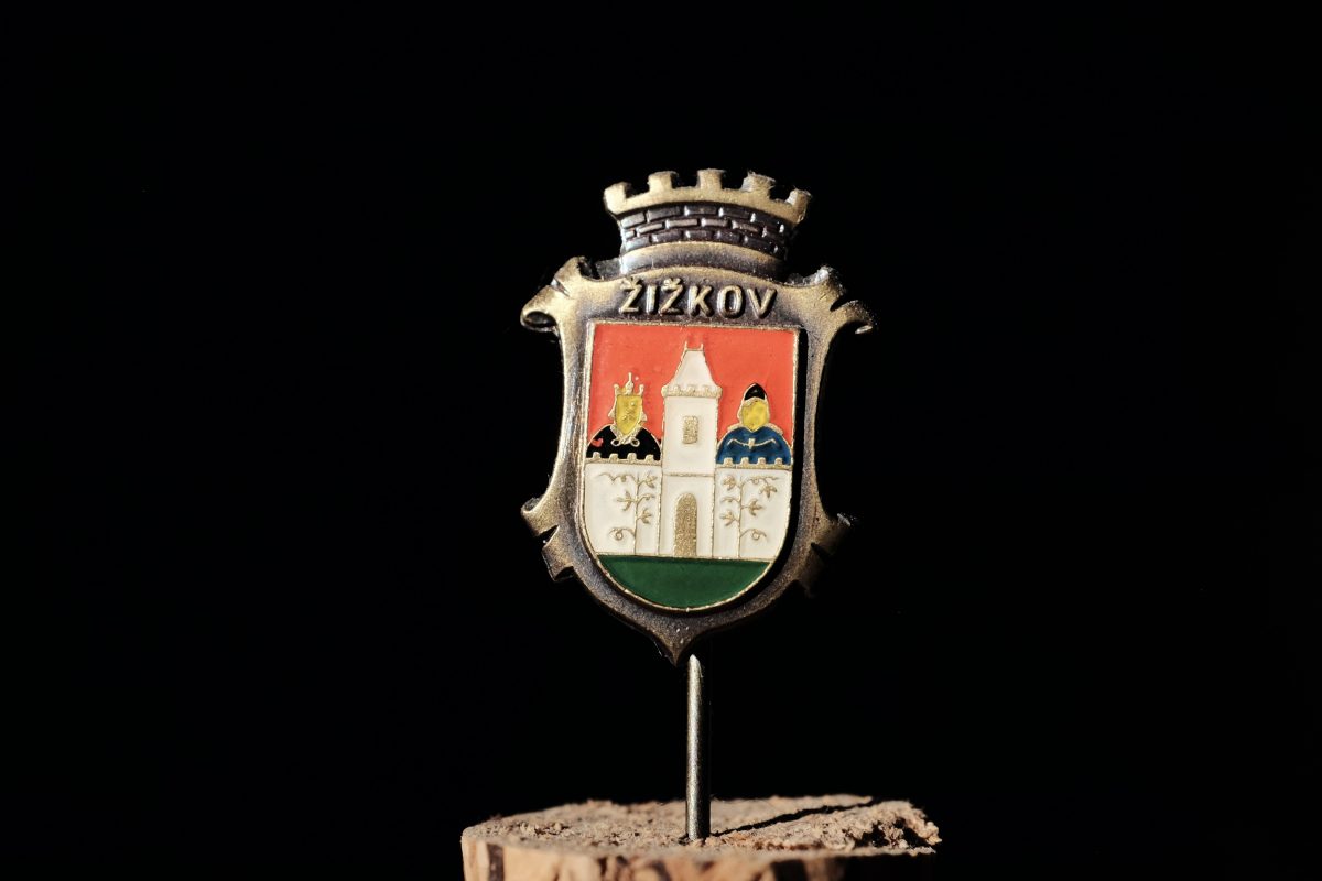a lapel pin lit by sun