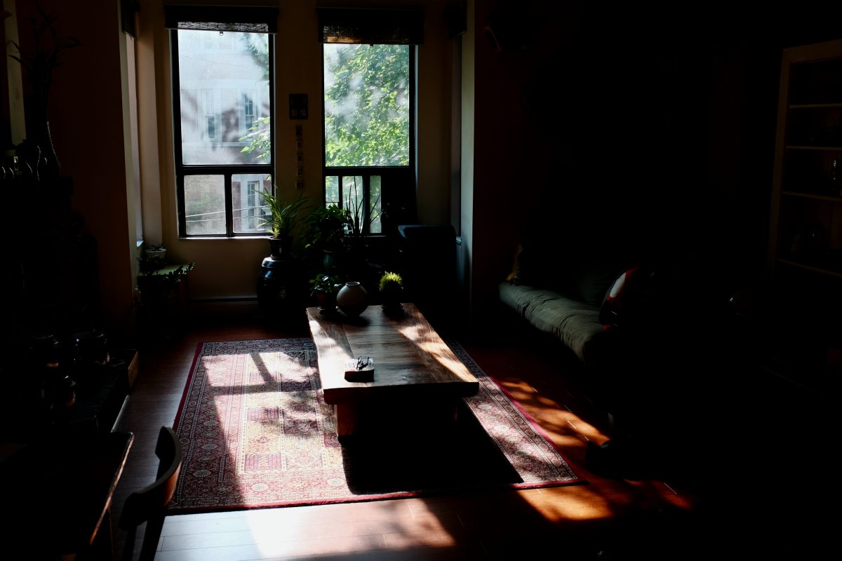 morning light coming through east facing windows
